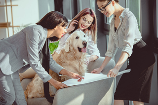 Group of professional women with an office dog