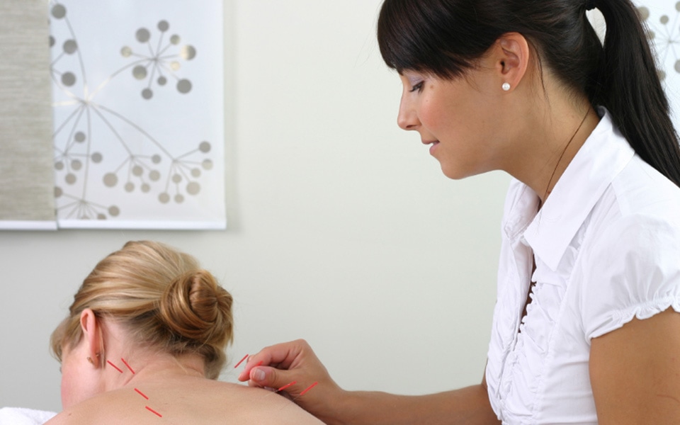 Alternative Medicine Schools Holistic Health Education