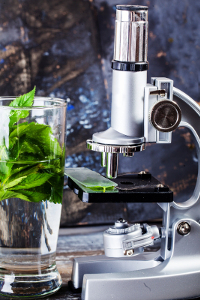 Microscope beside a glass of fresh leaves on a dark textured background.
