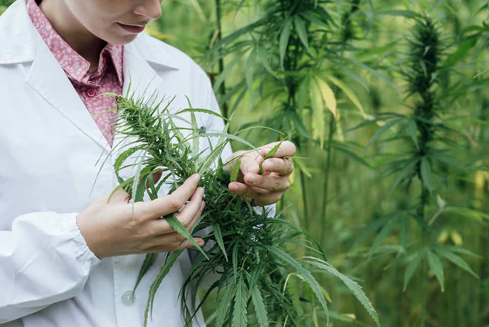31 of the HighestPaying Science Jobs You Can Get