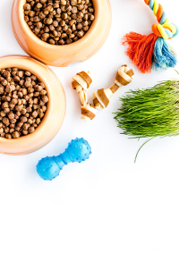 Two bowls of pet food with various dog toys and a bunch of green grass on a white background.