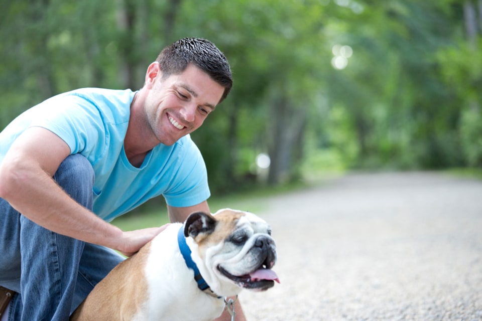 Learn How to a Dog Trainer Find a School Now!