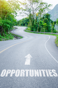 Winding road through lush greenery with OPPORTUNITIES painted on the asphalt and an arrow pointing forward.