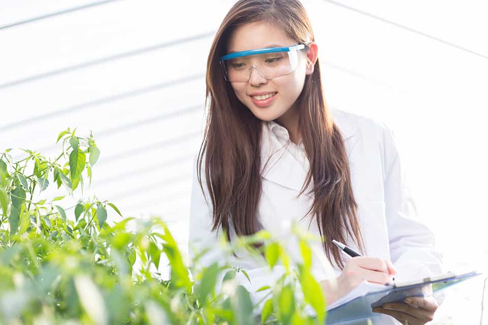 33 Rewarding Humanitarian Jobs That Make a Real Difference