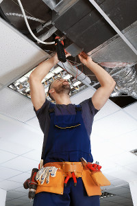 Electrician in blue overalls and tool belt working on wiring above suspended ceiling tiles.
