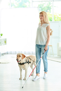 Blonde woman with visual impairment using a white cane walking with a guide dog in a bright indoor space