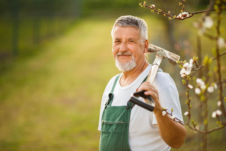 Best Jobs for Seniors & Retirees Over 35 Good Options
