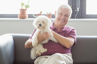 Elderly man smiling and holding a white poodle on a sofa in a bright living room.