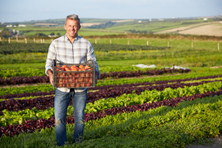 Mature farmer holding a basket of tomatoes in a lush field, with rows of colorful lettuce in the background on a sunny day.