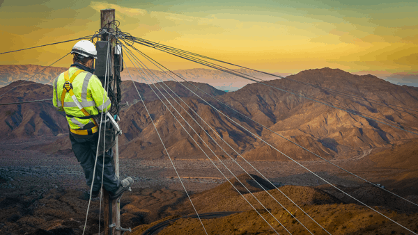 lineman schooling lineman schooling