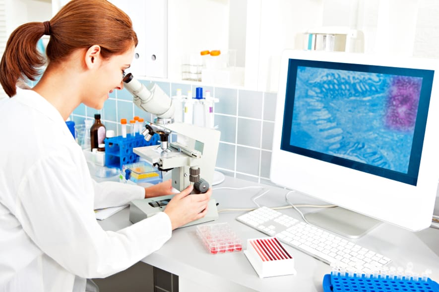 Medical Laboratory Technician School Options Find Training