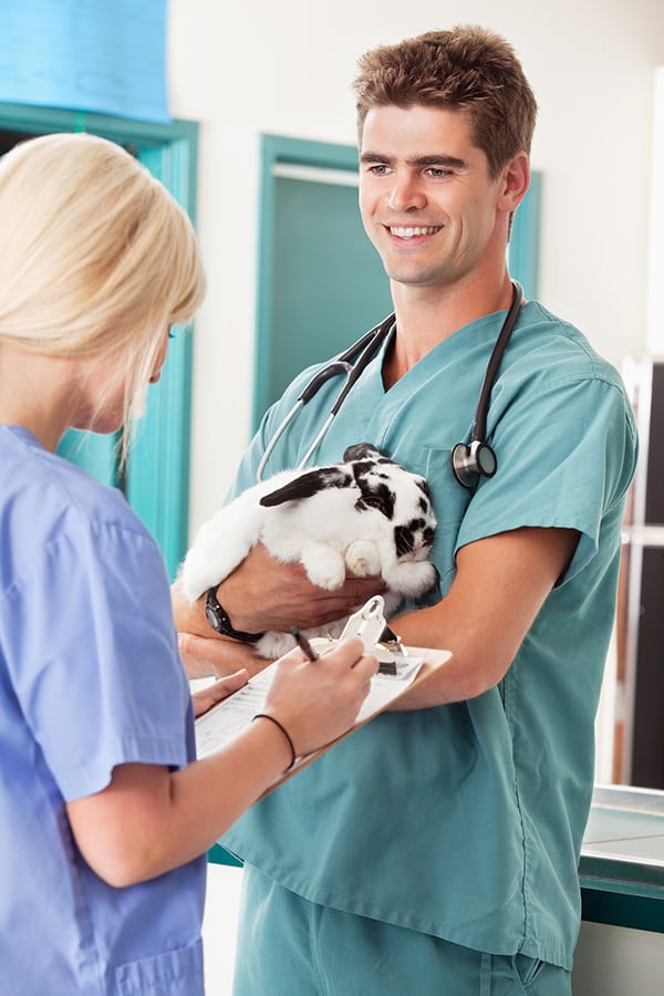 Canadian Veterinary Assistant Schools Animal Care Programs