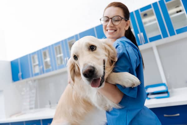 Canadian Veterinary Assistant Schools | Animal Care Programs