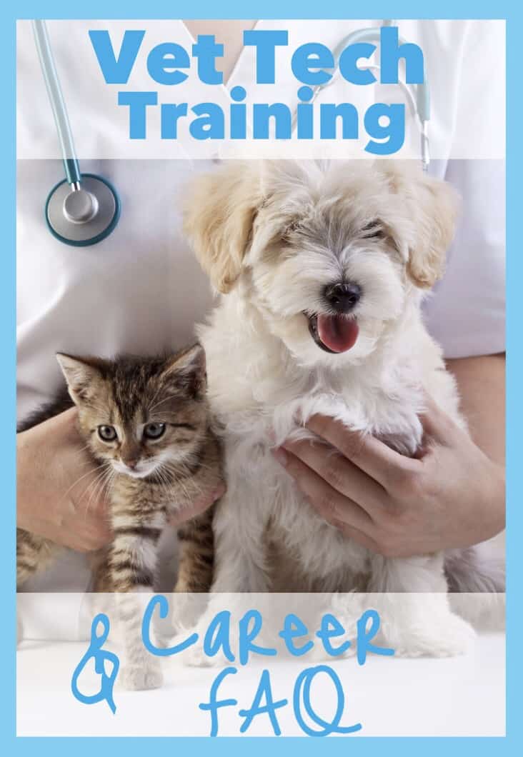 Vet Tech Schools & Veterinary Assistant Programs Near You